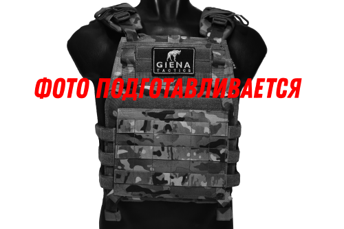 Плитоносец «Гиена» Легкий Мох